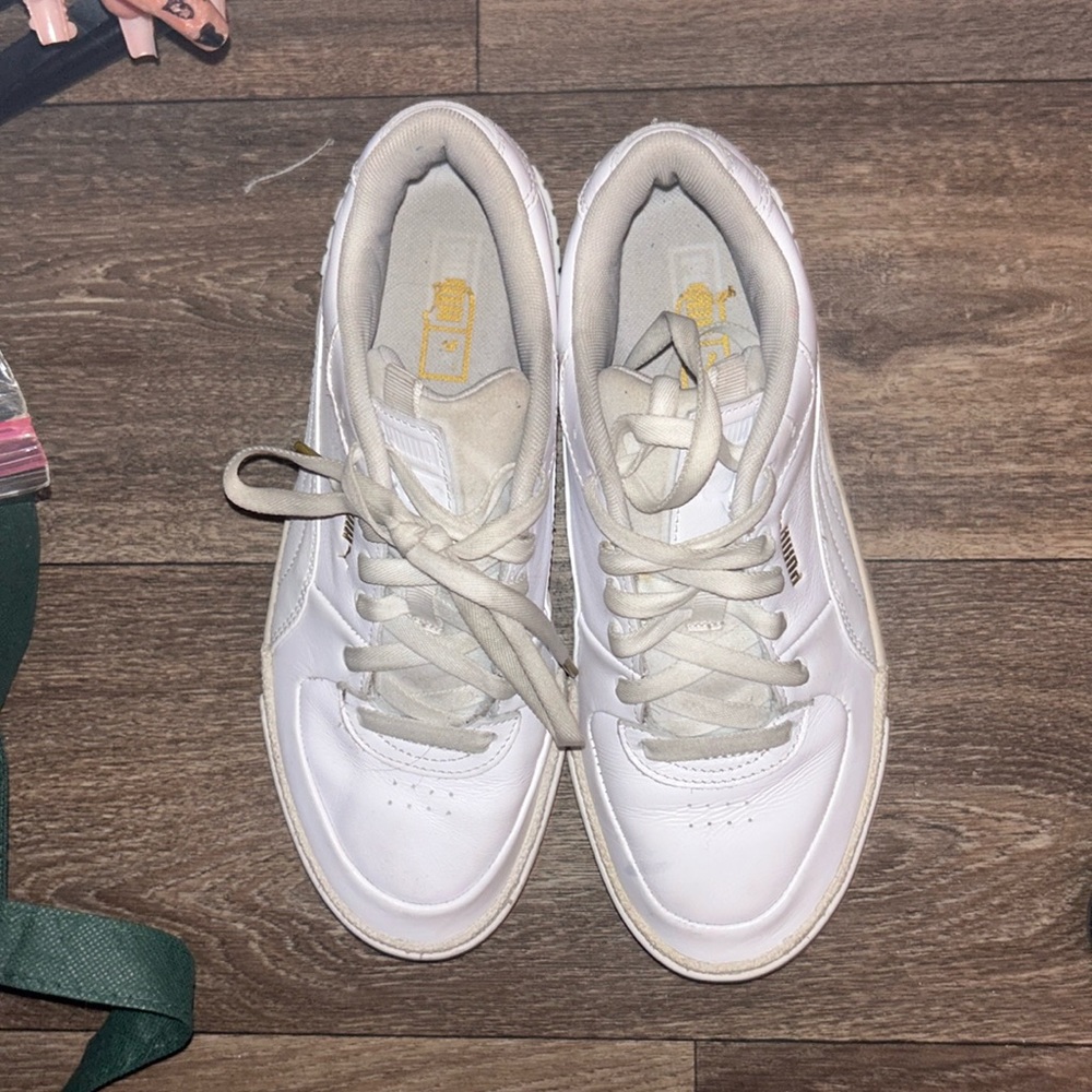 Pumas